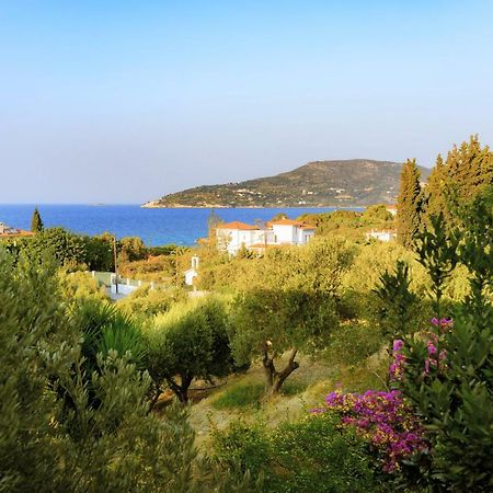 Kedros Hotel Samos Island Zewnętrze zdjęcie