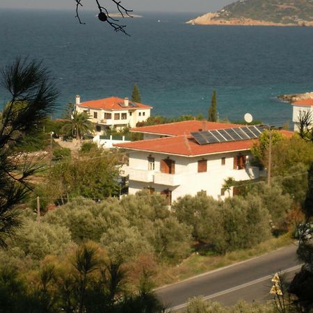 Kedros Hotel Samos Island Zewnętrze zdjęcie