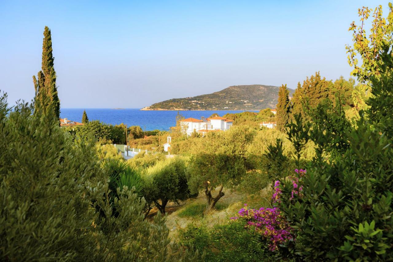 Kedros Hotel Samos Island Zewnętrze zdjęcie